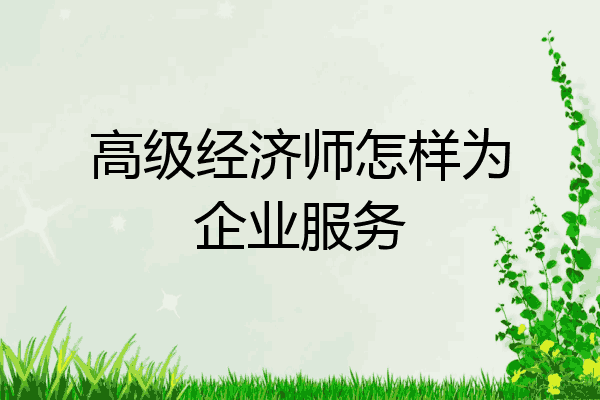 高级经济师怎样为企业服务
