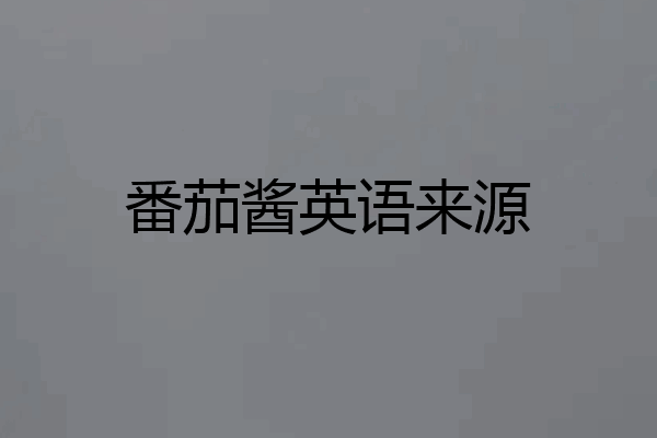 番茄酱英语来源
