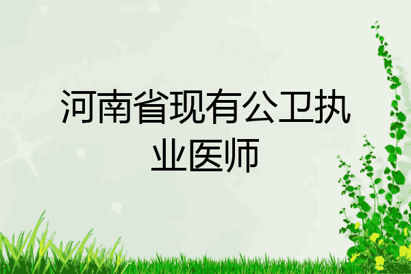 河南省现有公卫执业医师