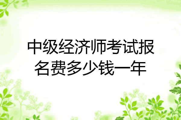 中级经济师考试报名费多少钱一年