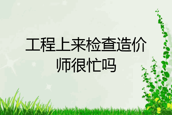 工程上来检查造价师很忙吗