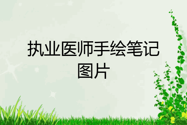 执业医师手绘笔记图片