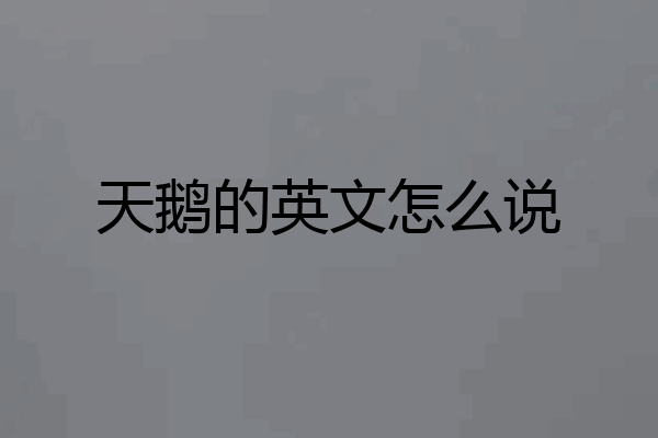 天鹅的英文怎么说