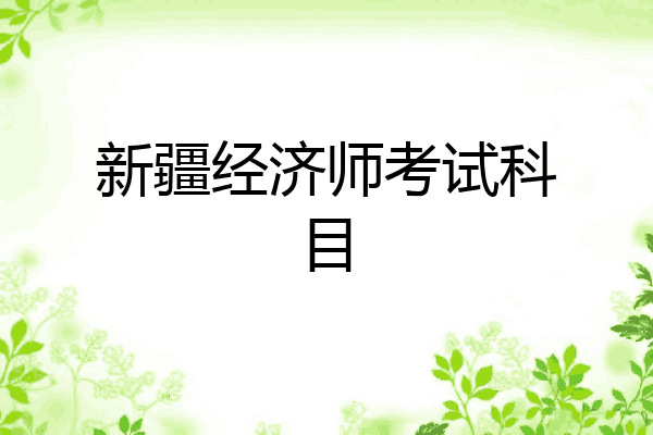 新疆经济师考试科目
