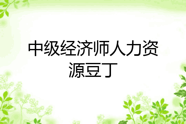 中级经济师人力资源豆丁