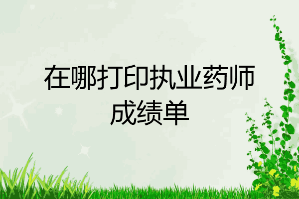 在哪打印执业药师成绩单