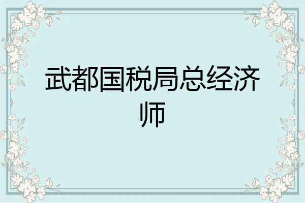 武都国税局总经济师