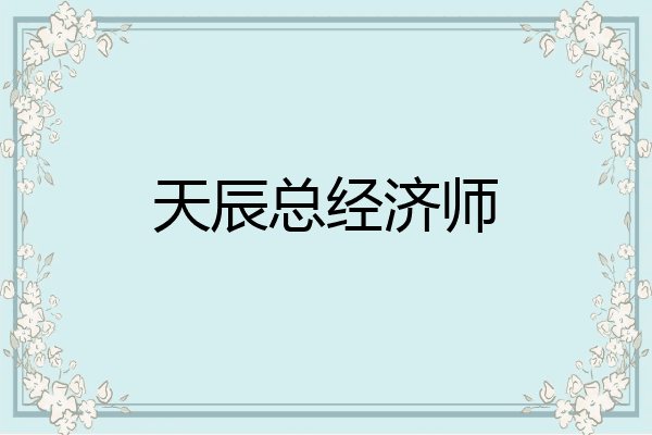 天辰总经济师