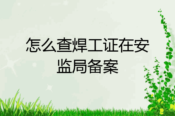 怎么查焊工证在安监局备案