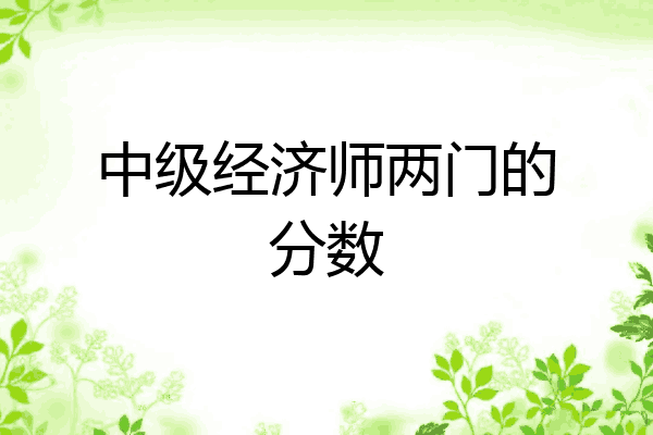 中级经济师两门的分数