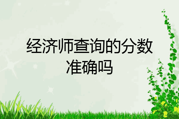 经济师查询的分数准确吗
