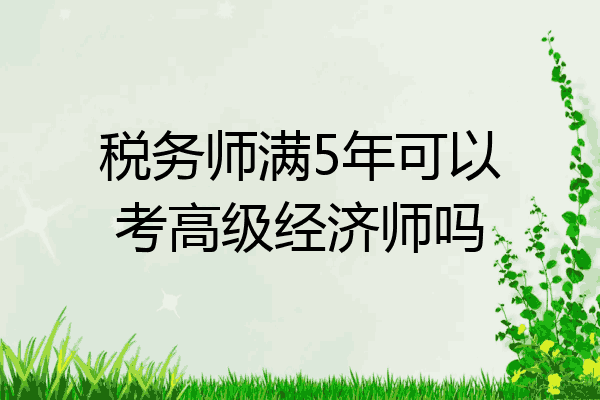 税务师满5年可以考高级经济师吗