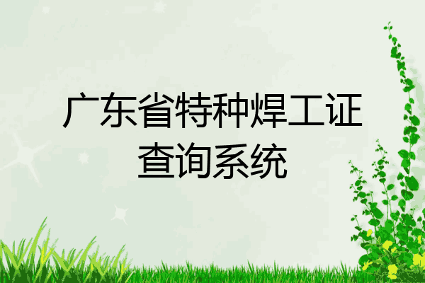 广东省特种焊工证查询系统