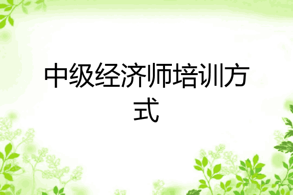 中级经济师培训方式