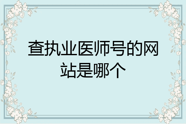 查执业医师号的网站是哪个
