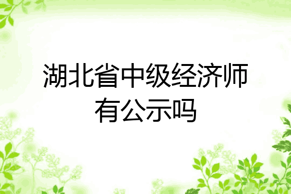 湖北省中级经济师有公示吗