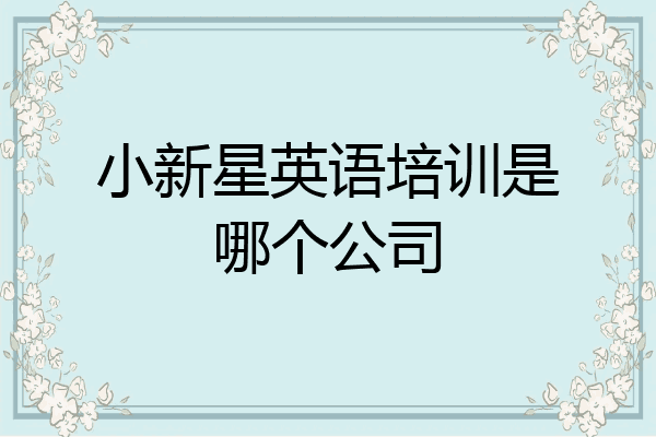 小新星英语培训是哪个公司