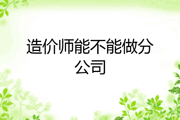 造价师能不能做分公司