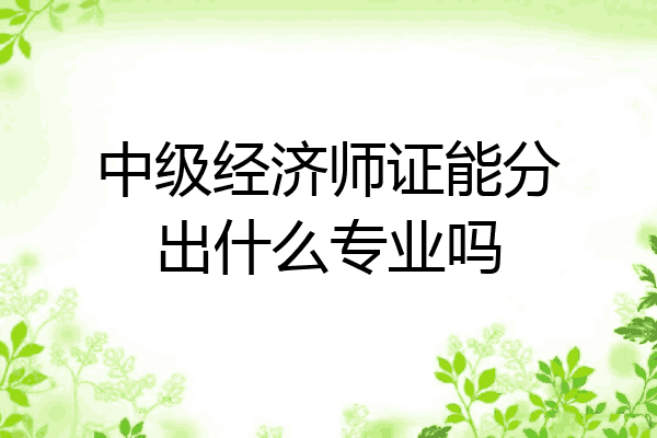 中级经济师证能分出什么专业吗