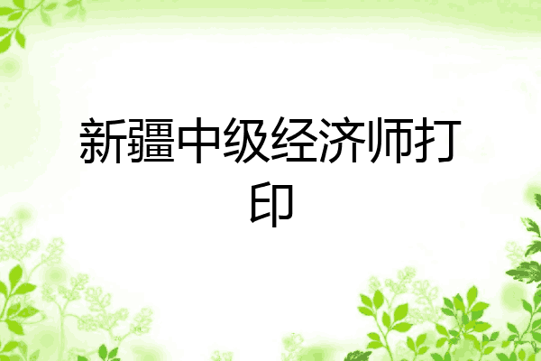 新疆中级经济师打印