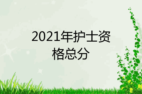 2021年护士资格总分