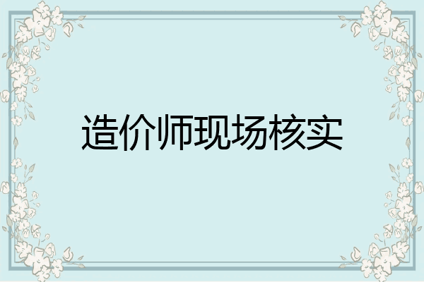 造价师现场核实