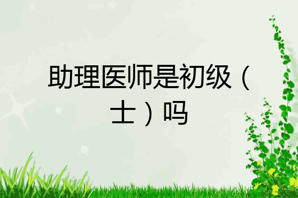 助理医师是初级（士）吗