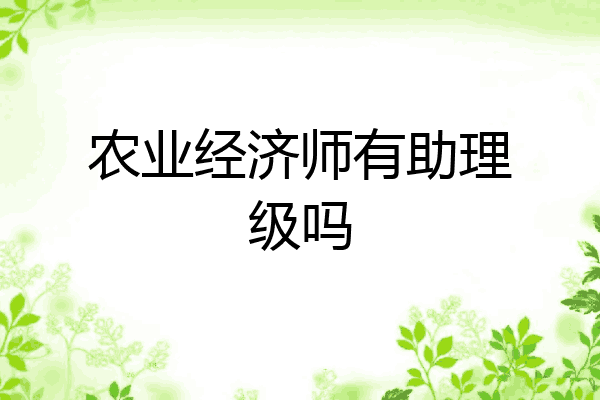 农业经济师有助理级吗