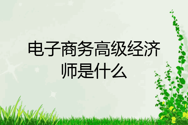 电子商务高级经济师是什么