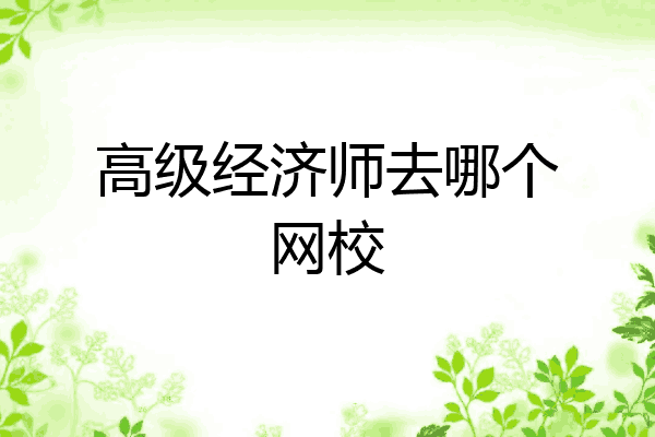 高级经济师去哪个网校