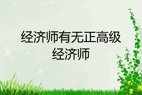 经济师有无正高级经济师