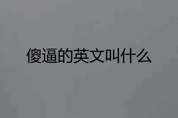 傻逼的英文叫什么