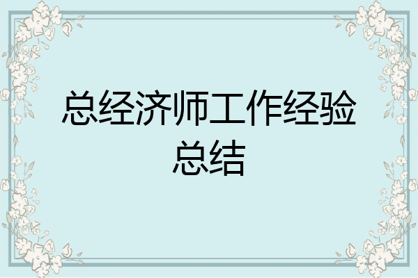 总经济师工作经验总结