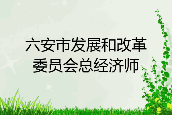 六安市发展和改革委员会总经济师