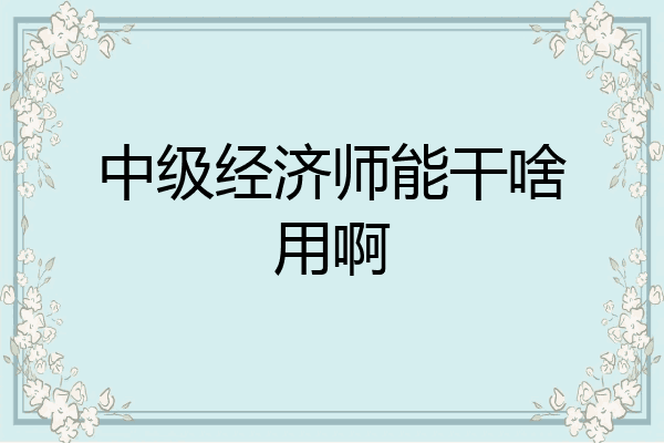 中级经济师能干啥用啊