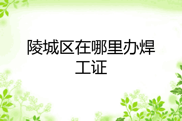 陵城区在哪里办焊工证