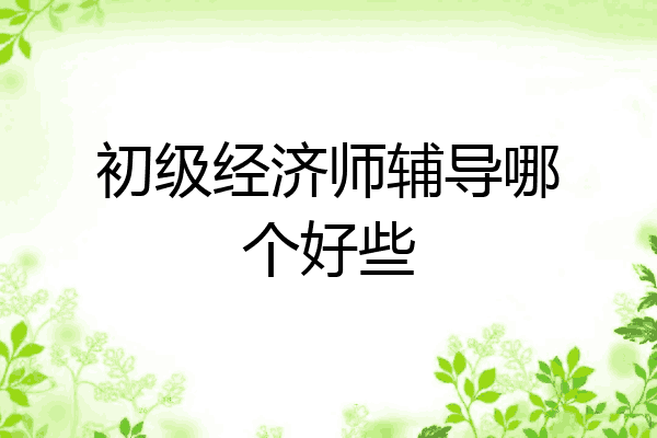 初级经济师辅导哪个好些
