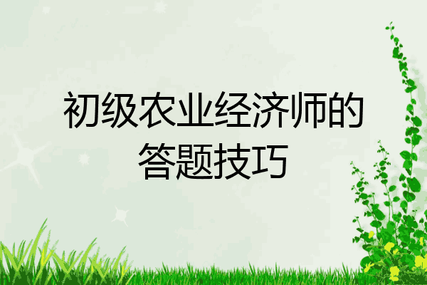 初级农业经济师的答题技巧