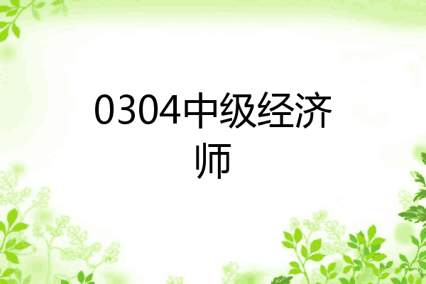 0304中级经济师