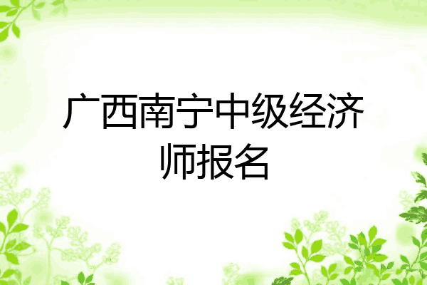 广西南宁中级经济师报名
