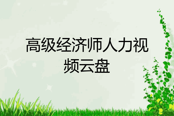 高级经济师人力视频云盘