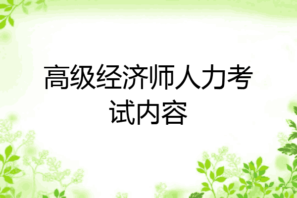 高级经济师人力考试内容