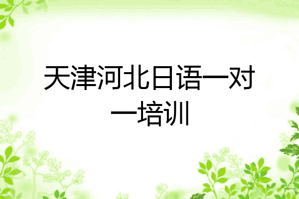 天津河北日语一对一培训
