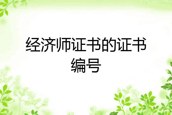 经济师证书的证书编号
