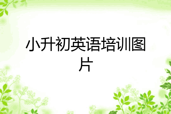 小升初英语培训图片