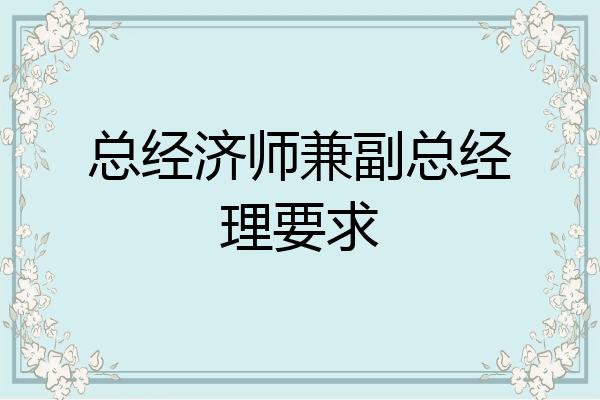 总经济师兼副总经理要求