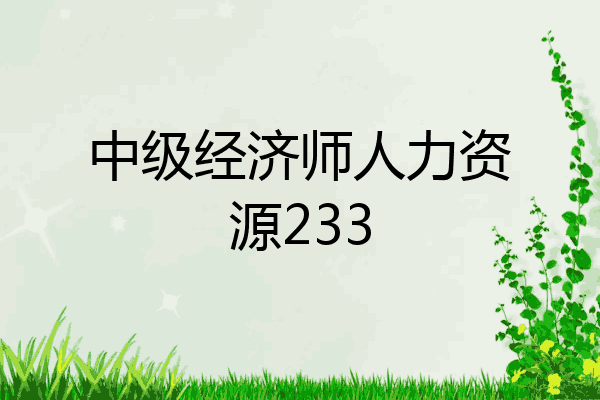 中级经济师人力资源233
