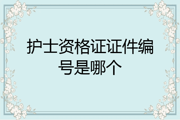 护士资格证证件编号是哪个