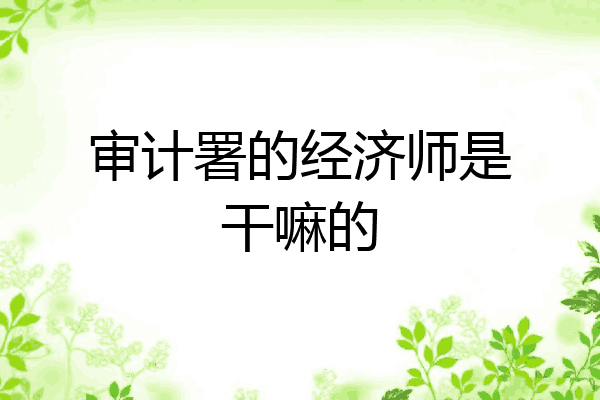 审计署的经济师是干嘛的