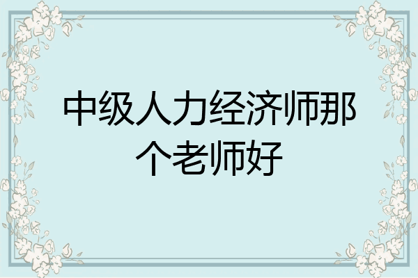 中级人力经济师那个老师好